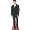Dekoracja HARRY STYLES karton