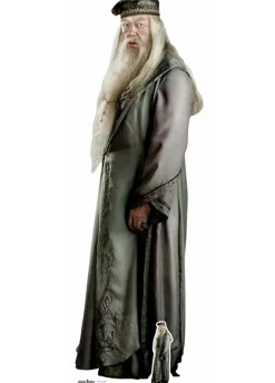 Dekoracja kartonowa ALBUS DUMBLEDORE