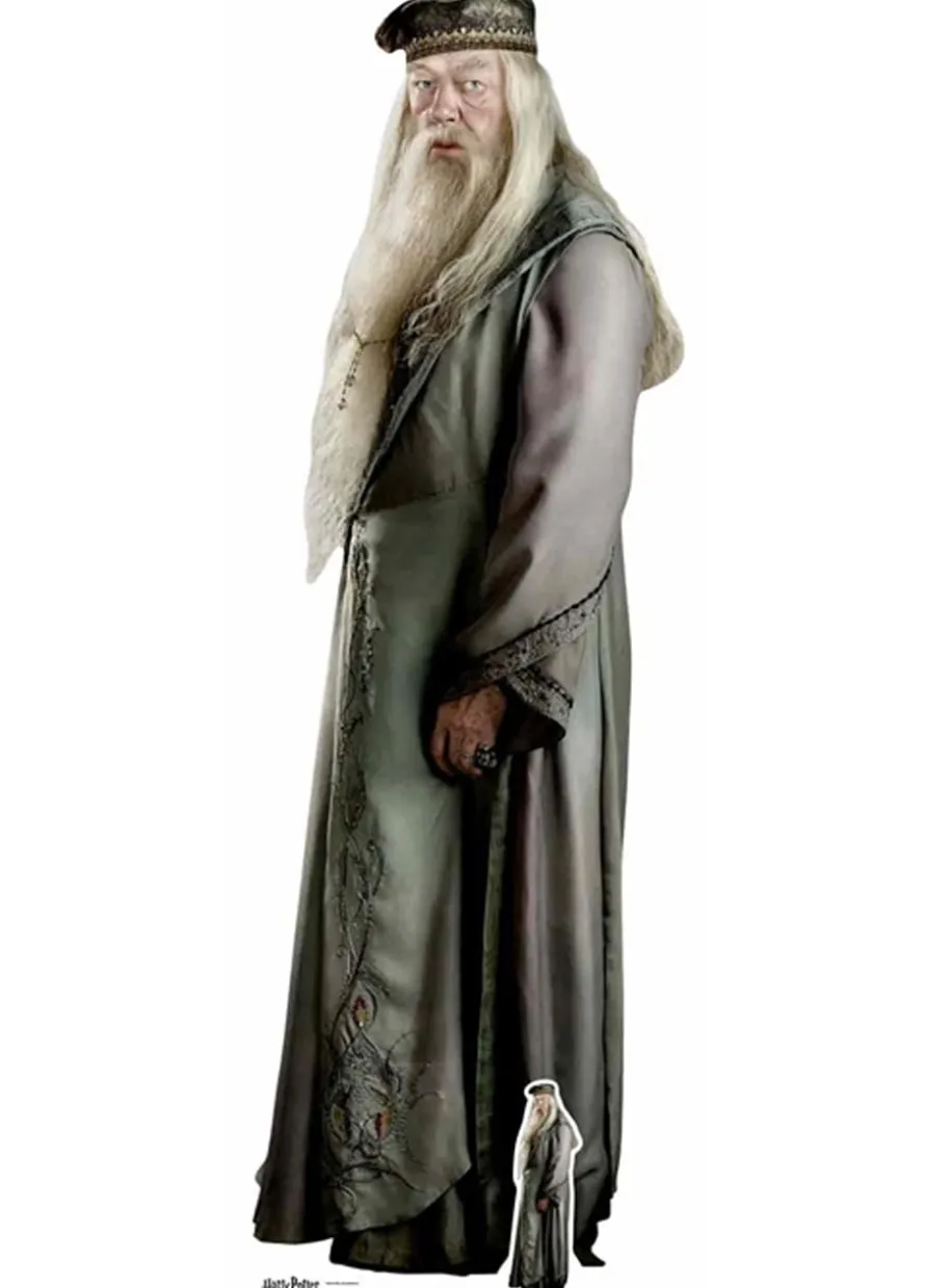 Dekoracja kartonowa ALBUS DUMBLEDORE