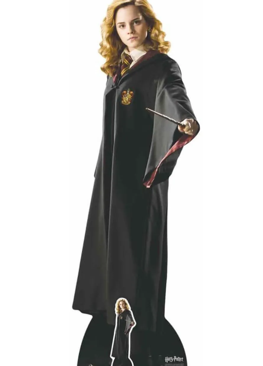 Dekoracja kartonowa HERMIONA GRANGER