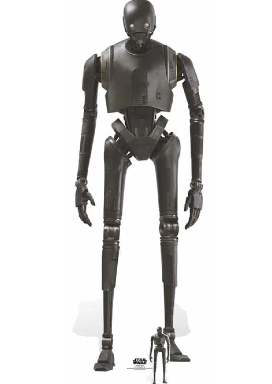 Dekoracja kartonowa K-2SO