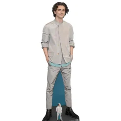 Dekoracja kartonowa TIMOTHEE CHALAMET