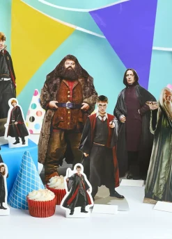 Dekoracja stołu HARRY POTTER (9szt.)