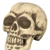 Halloweenowa CZASZKA z pianki