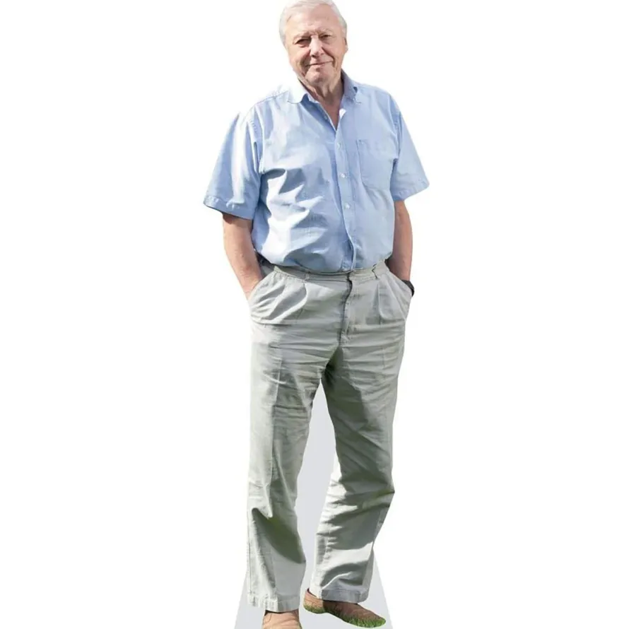 Kartonowa postać DAVID ATTENBOROUGH