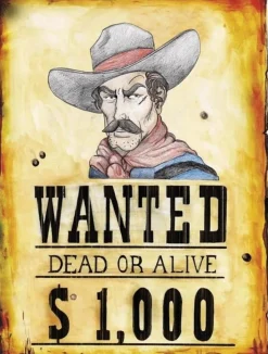 Plakat POSZUKIWANY