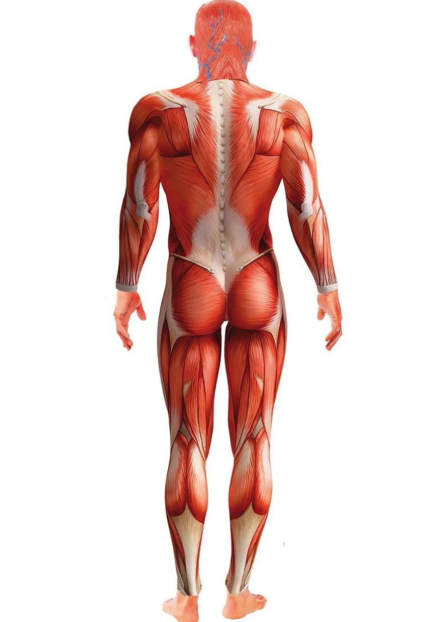 Przebranie na halloween ANATOMIA - M