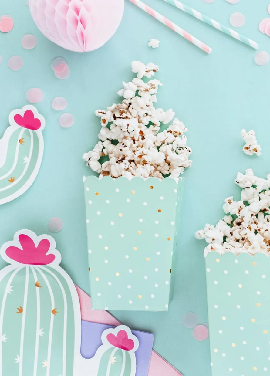 Pudełka na popcorn KAKTUS (6szt.)
