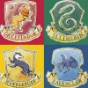Serwetki HARRY POTTER papierowe