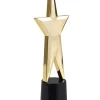 Statuetka GWIAZDA VIP