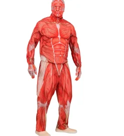 Strój MIĘŚNIE Anatomia