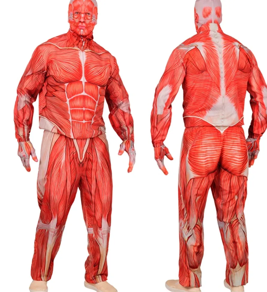 Strój MIĘŚNIE Anatomia