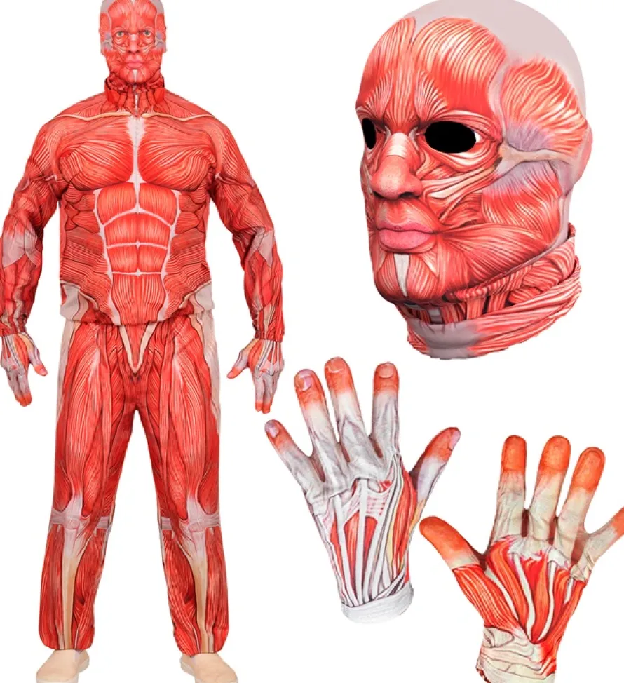 Strój MIĘŚNIE Anatomia