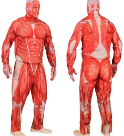 Strój MIĘŚNIE Anatomia