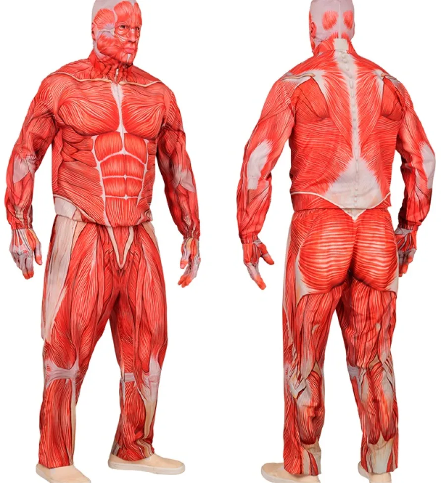 Strój MIĘŚNIE Anatomia