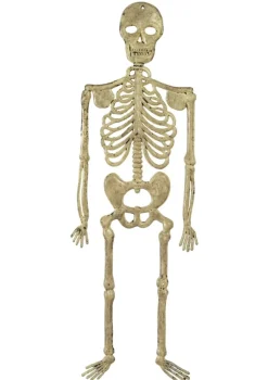 SZKIELET dekoracja sali na Halloween 30 cm